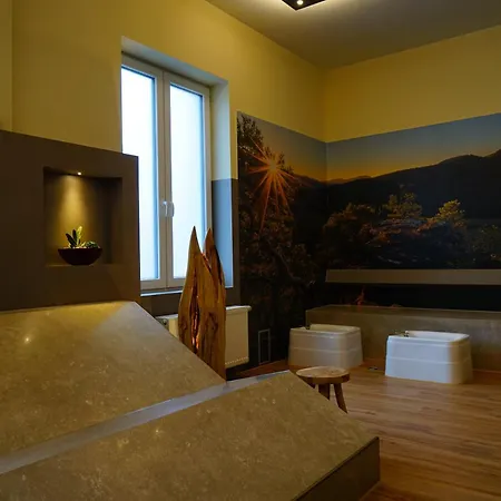 Hotel Zum Ochsen 3*