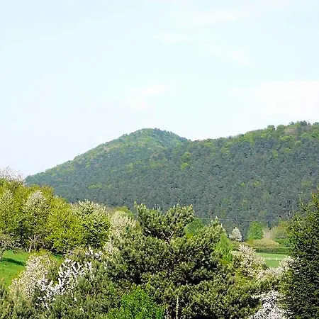 Zum Ochsen Hauenstein