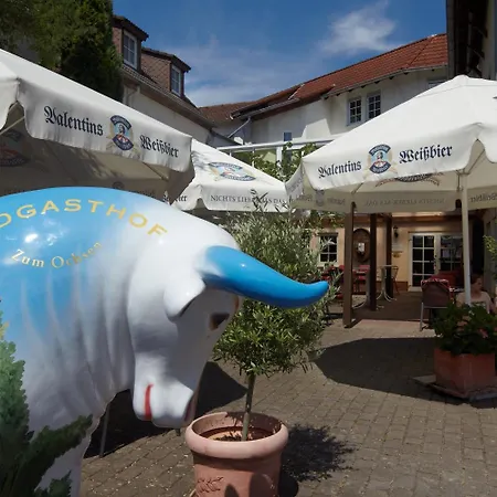 Zum Ochsen Hotel 3*
