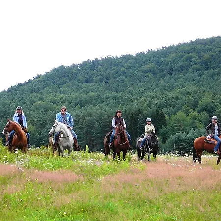 Szálloda Zum Ochsen