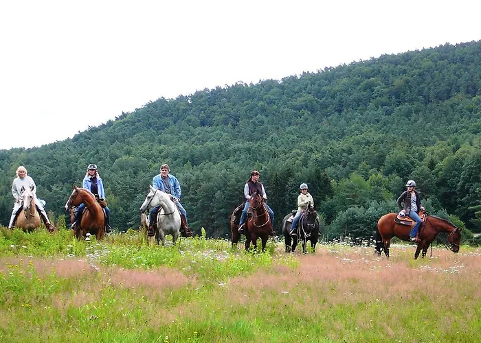 ホテル Zum Ochsen