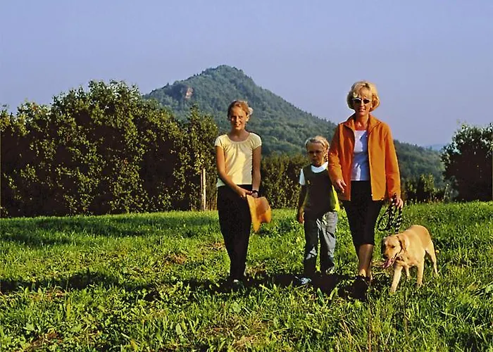 Zum Ochsen ホテル 3*