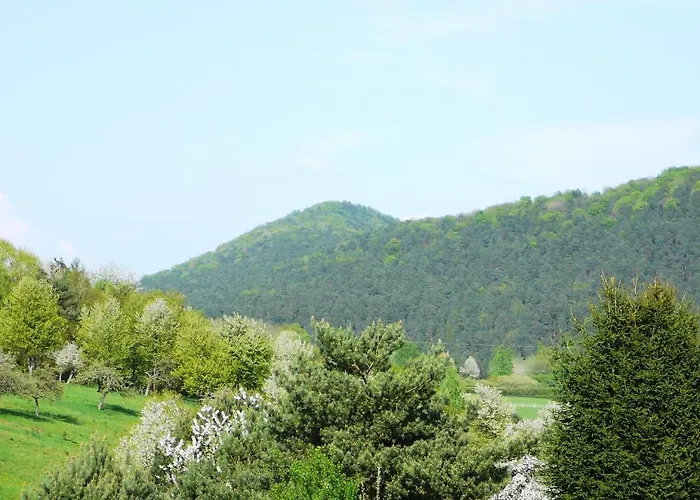 ホテル Zum Ochsen